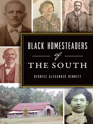 cover image of Black Homesteaders of the South